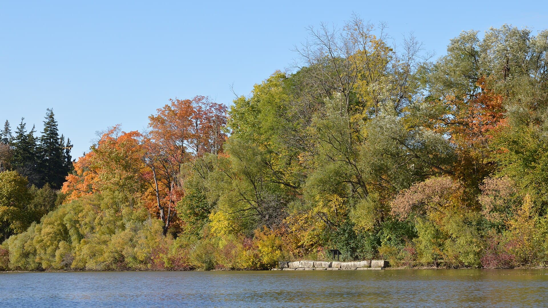 Autumn colour along the Silver Lake shoreline in Waterloo Park